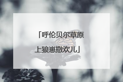 呼伦贝尔草原上狼崽撒欢儿
