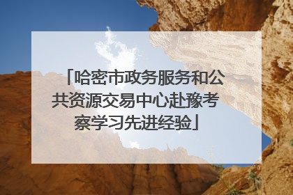 哈密市政务服务和公共资源交易中心赴豫考察学习先进经验