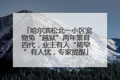 哈尔滨松北一小区宠物兔“越狱”两年繁育四代，业主有人“稀罕”有人忧，专家提醒