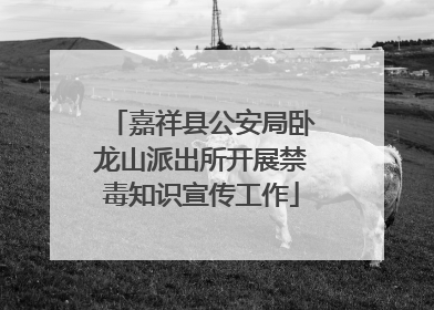 嘉祥县公安局卧龙山派出所开展禁毒知识宣传工作