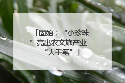 固始：“小珍珠”亮出农文旅产业“大手笔”