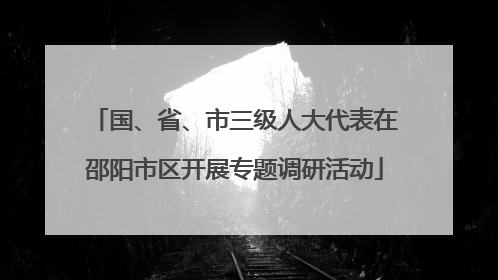 国、省、市三级人大代表在邵阳市区开展专题调研活动