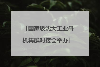 国家级沈大工业母机集群对接会举办