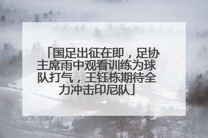 国足出征在即，足协主席雨中观看训练为球队打气，王钰栋期待全力冲击印尼队
