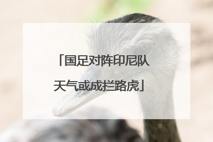 国足对阵印尼队 天气或成拦路虎