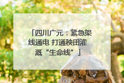 四川广元：紧急架线通电 打通秧田灌溉“生命线”