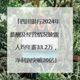 四川银行2024年薪酬及经营情况披露：人均年薪33.2万，净利润突破20亿