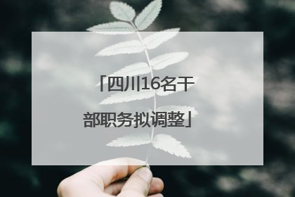 四川16名干部职务拟调整