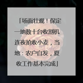 场面壮观！保定一地数十台收割机连夜抢收小麦，当地：农户自发，夏收工作基本完成