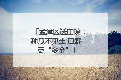 孟津区送庄镇：种瓜不见土 田野更“多金”