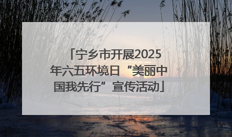 宁乡市开展2025年六五环境日“美丽中国我先行”宣传活动