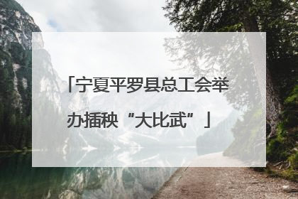 宁夏平罗县总工会举办插秧“大比武”