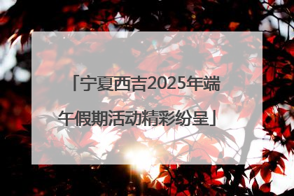 宁夏西吉2025年端午假期活动精彩纷呈