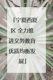 宁夏西夏区 全力推进义务教育优质均衡发展