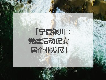 宁夏银川：党建活动促安居企业发展