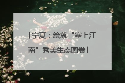 宁夏：绘就“塞上江南”秀美生态画卷