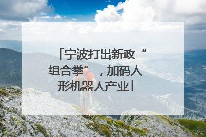 宁波打出新政“组合拳”，加码人形机器人产业
