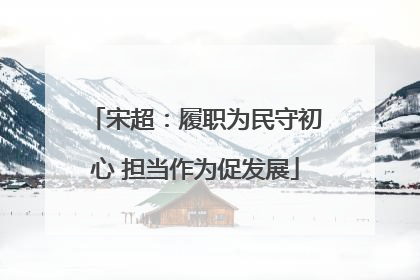 宋超：履职为民守初心 担当作为促发展