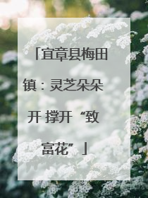 宜章县梅田镇：灵芝朵朵开 撑开“致富花”
