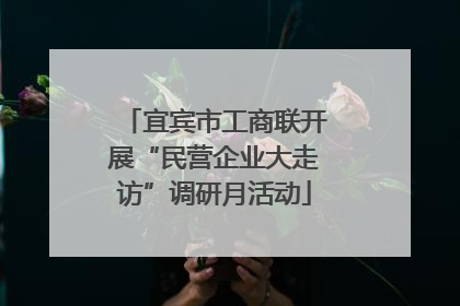 宜宾市工商联开展“民营企业大走访”调研月活动