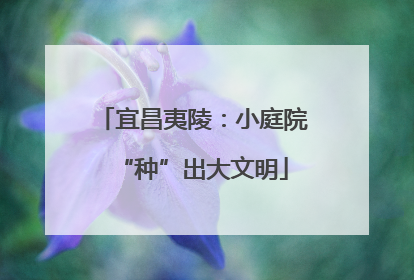 宜昌夷陵：小庭院“种”出大文明