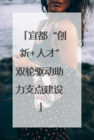 宜都“创新+人才”双轮驱动助力支点建设