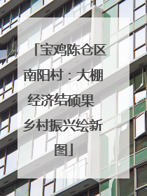 宝鸡陈仓区南阳村：大棚经济结硕果 乡村振兴绘新图