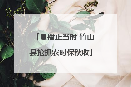 夏播正当时 竹山县抢抓农时保秋收