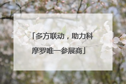多方联动，助力科摩罗唯一参展商