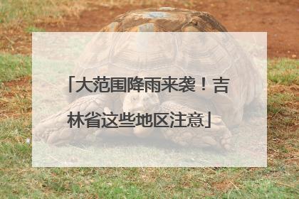 大范围降雨来袭！吉林省这些地区注意