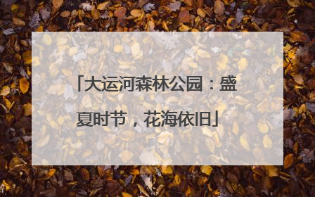 大运河森林公园：盛夏时节，花海依旧
