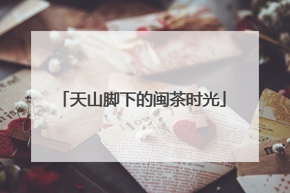 天山脚下的闽茶时光