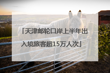 天津邮轮口岸上半年出入境旅客超15万人次