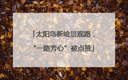 太阳岛新绘景观路，“一路芳心”被点赞
