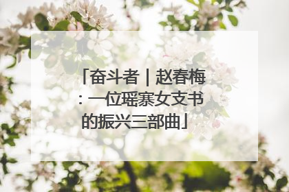奋斗者｜赵春梅：一位瑶寨女支书的振兴三部曲