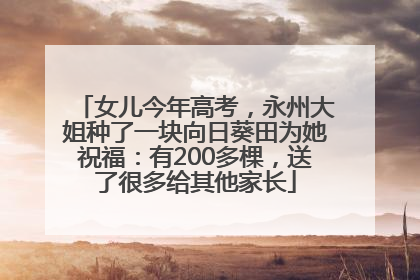 女儿今年高考，永州大姐种了一块向日葵田为她祝福：有200多棵，送了很多给其他家长