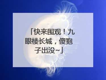 快来围观！九眼楼长城，傻狍子出没~