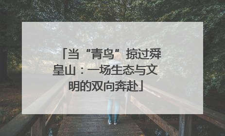 当“青鸟”掠过舜皇山：一场生态与文明的双向奔赴