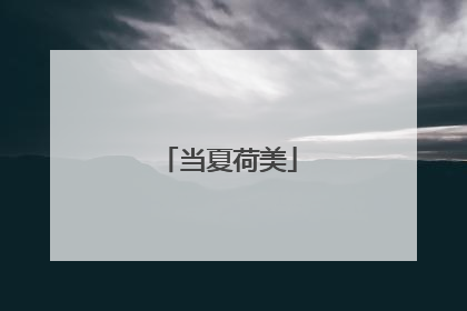 当夏荷美