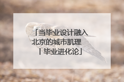 当毕业设计融入北京的城市肌理 丨毕业进化论