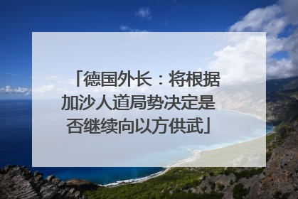 德国外长：将根据加沙人道局势决定是否继续向以方供武