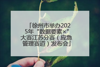 徐州市举办2025年“数据要素×”大赛江苏分赛（应急管理赛道）发布会