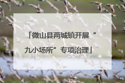 微山县两城镇开展“九小场所”专项治理