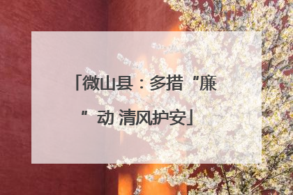 微山县：多措“廉”动 清风护安