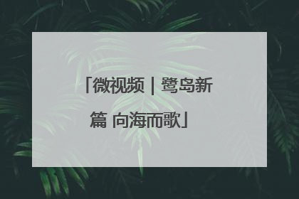微视频｜鹭岛新篇 向海而歌