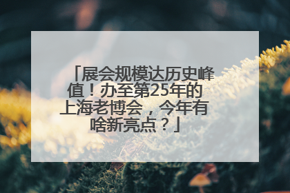 展会规模达历史峰值！办至第25年的上海老博会，今年有啥新亮点？