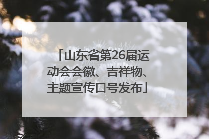 山东省第26届运动会会徽、吉祥物、主题宣传口号发布
