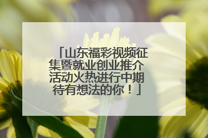 山东福彩视频征集暨就业创业推介活动火热进行中期待有想法的你！