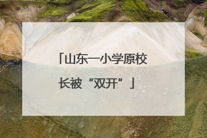 山东一小学原校长被“双开”