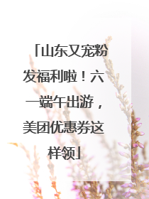 山东又宠粉发福利啦！六一端午出游，美团优惠券这样领